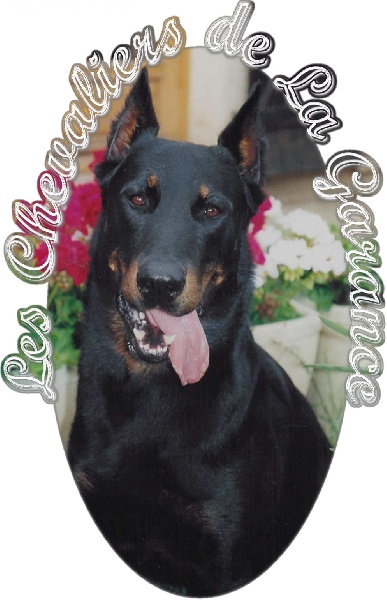 Axel du Caprice d'Eole